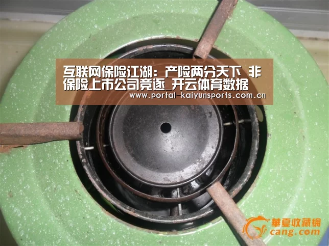 互联网保险江湖:产险两分天下 非保险上市公司竞逐_开云体育数据(图2) 开云体育高清直播